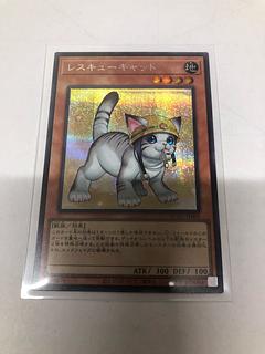 Rescue Cat (different illustration version) Secret Rare QCAC-JP006