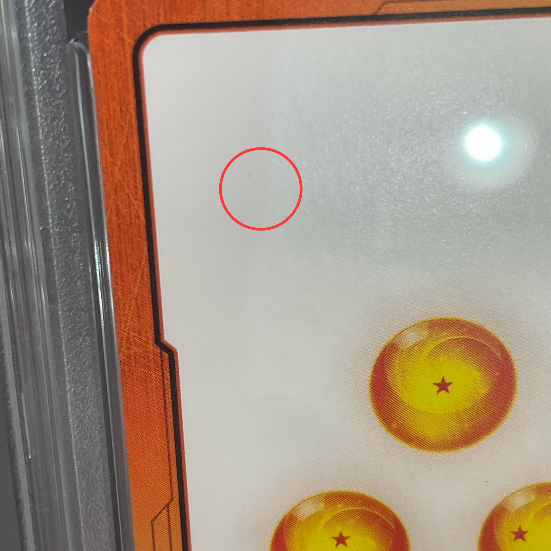 PSA10] Brolly Parallel Energy Marker Pack 01 PROMO E01-03 1枚