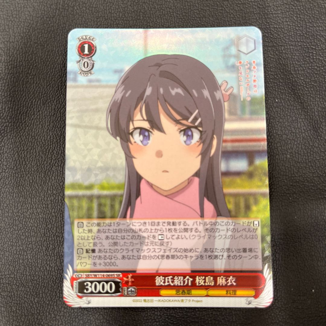 SR Boyfriend Introduction Sakura Island Mai 1枚