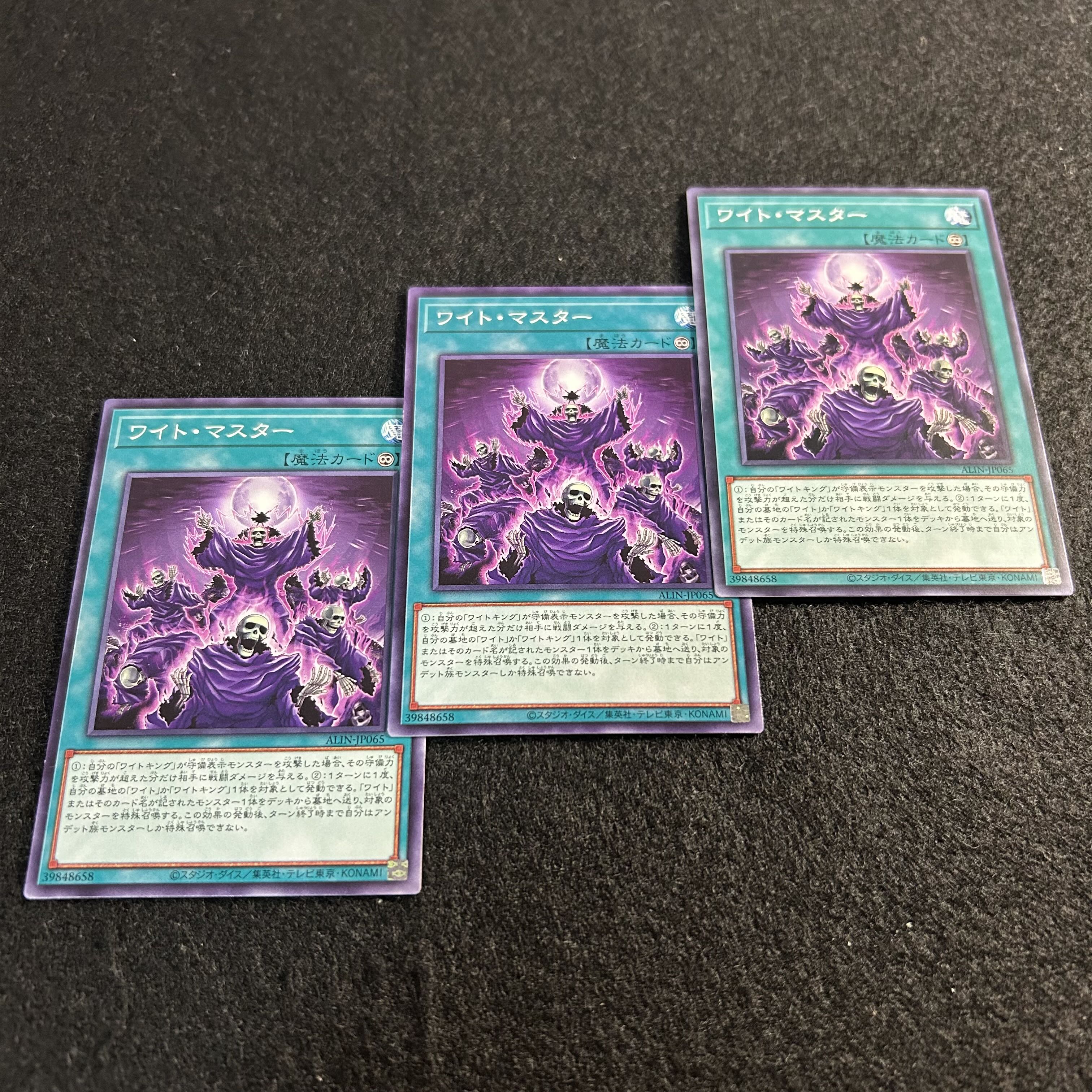 a2819 [Yu-Gi-Oh!] Wight Master 3-Card Set 3枚