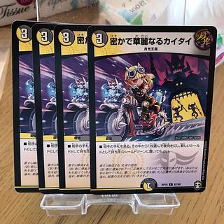 Secret and Splendid Kai Tai C 87/95