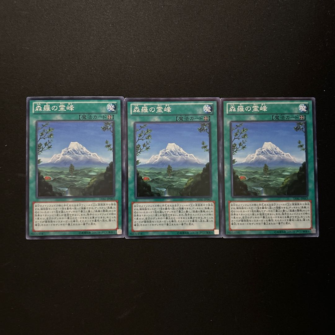 2722 Mount Sylvania#782