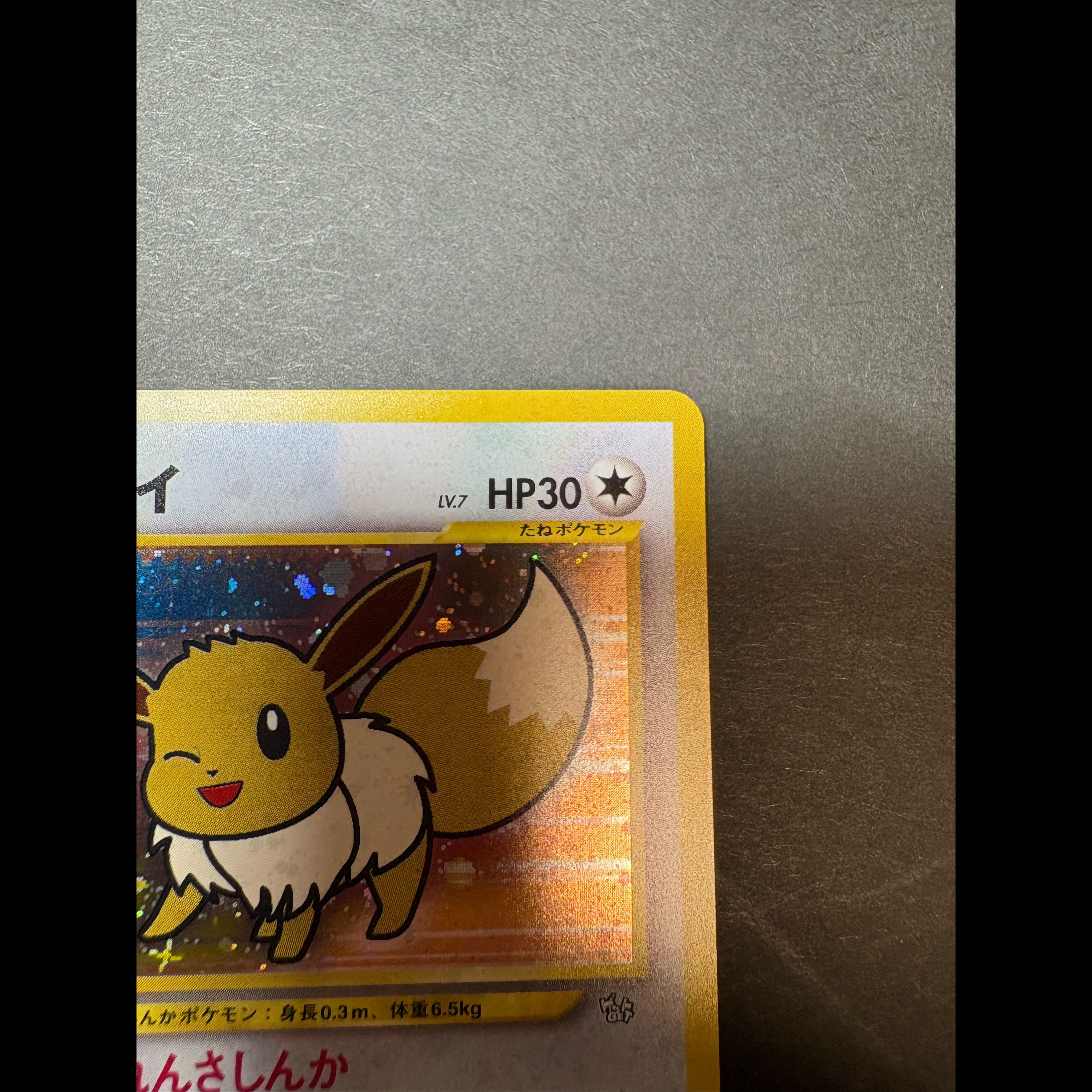 Eevee Pokémon Fan Krabby Special Edition Card (Old Back) PROMO 1枚