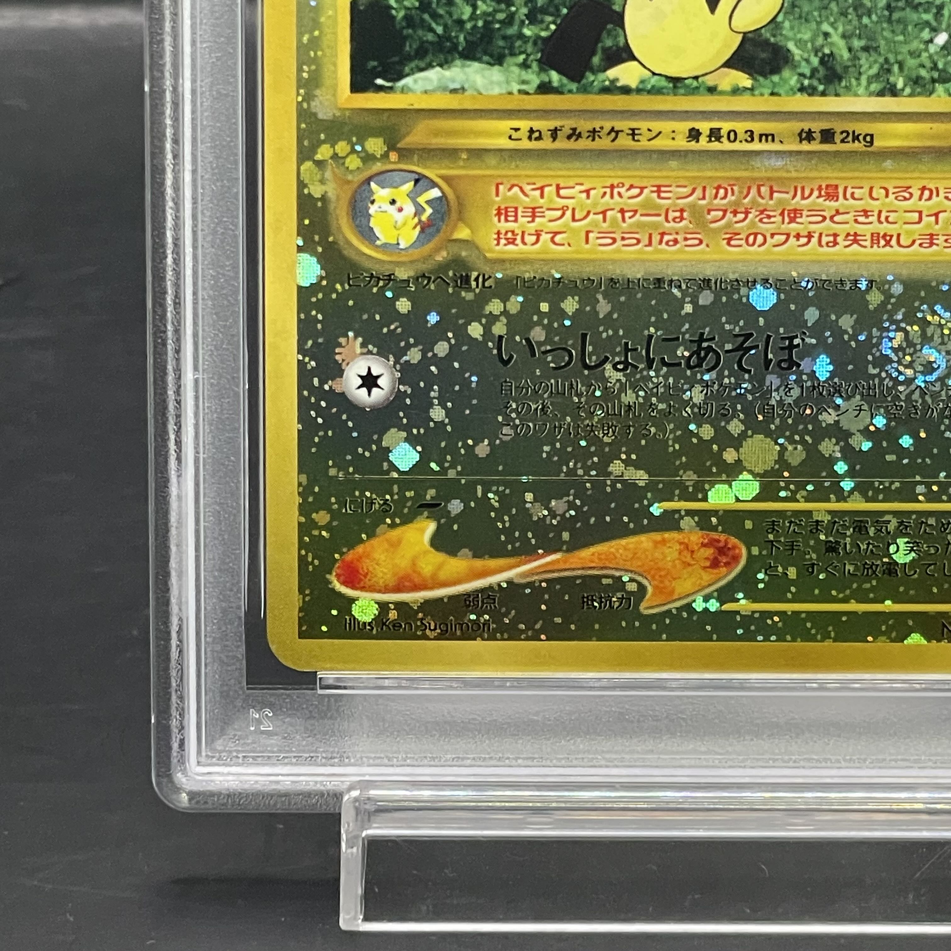 PSA10] Pichu Premium File Kira Old Back 1枚