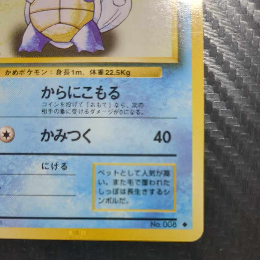 Wartortle old back 1枚