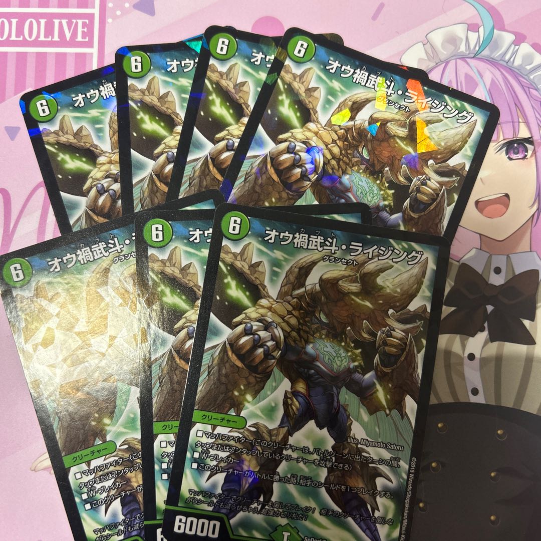 Ou Disaster Buto Rising 1/10 7枚