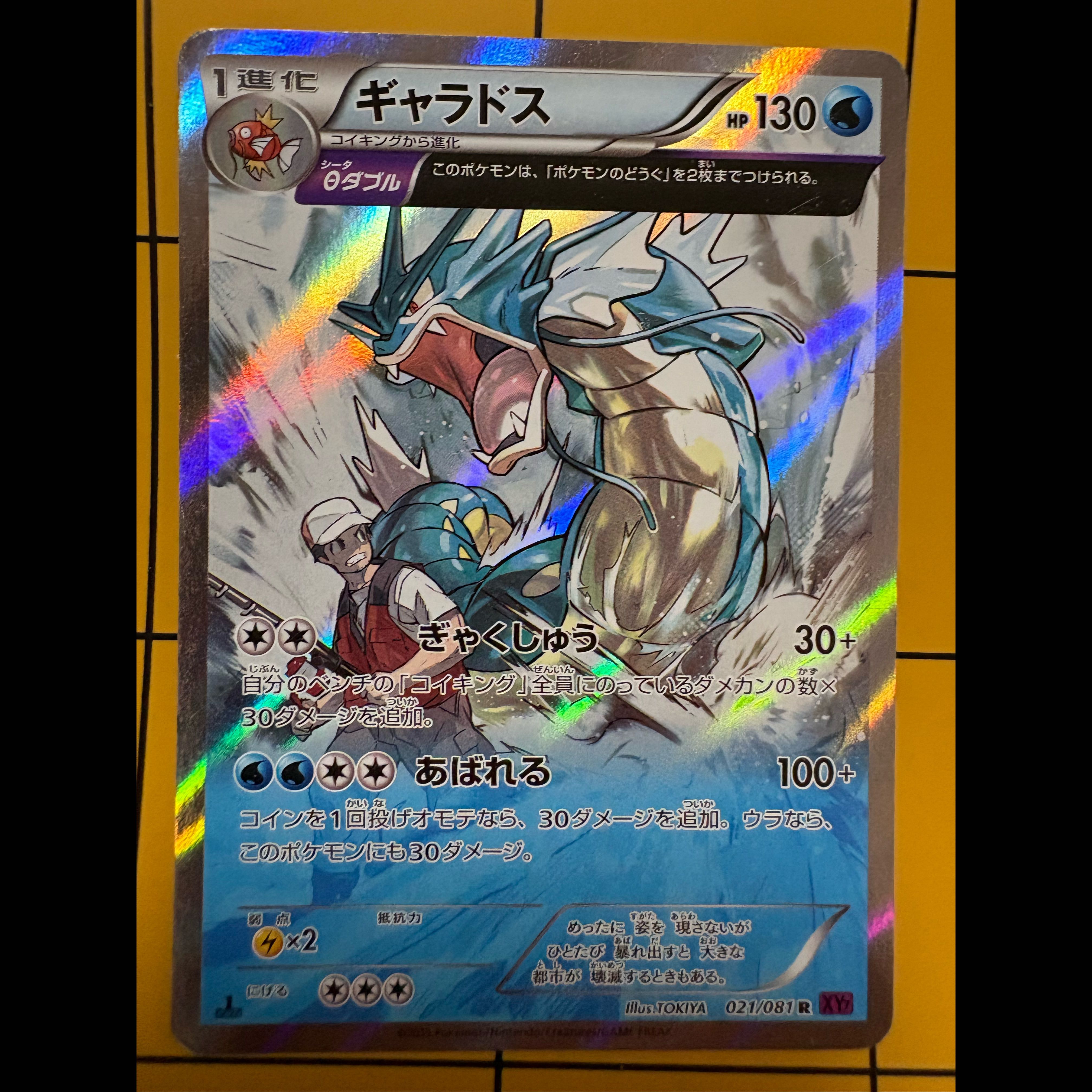 Gyarados R 021/081 1枚