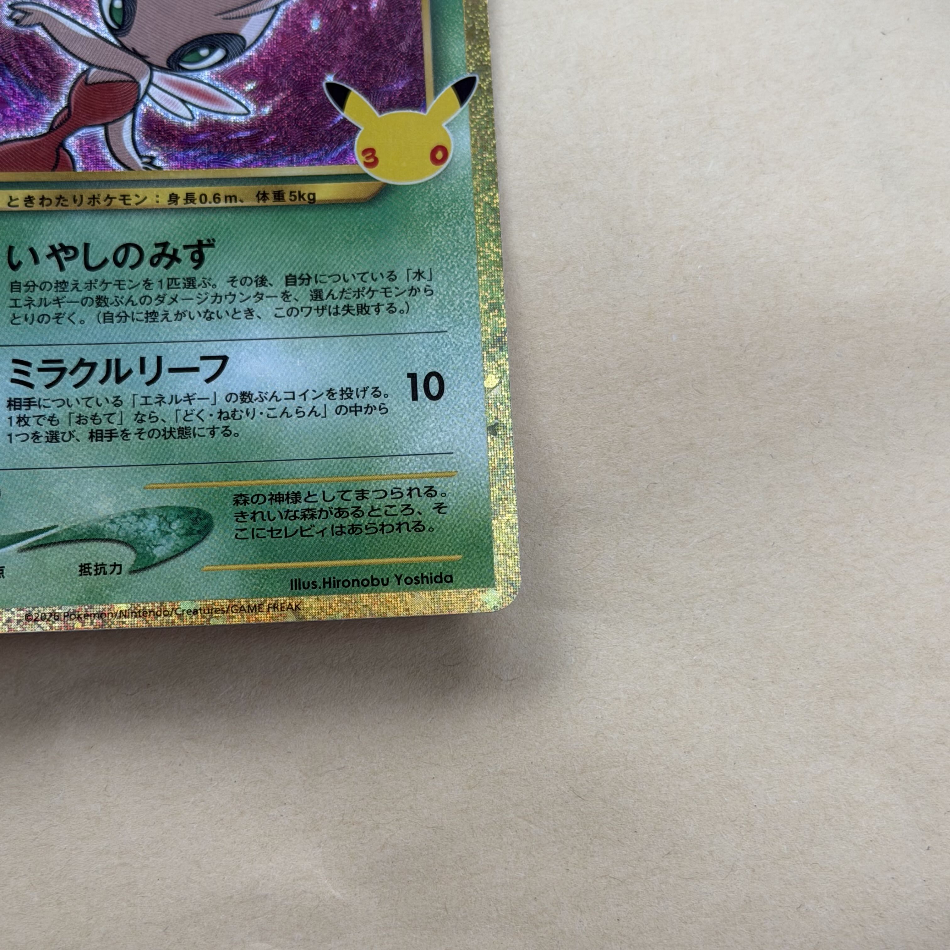 Hikaru Celebi 30th 1枚