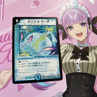 Piñaco Lada C 81/110/Y7