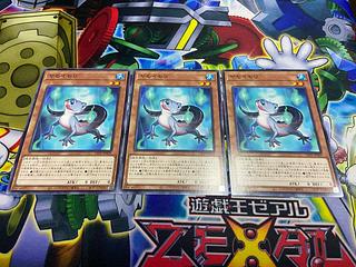 Y-625 ヤモイモリ ノーマル JP029