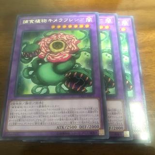 Predaplant Chimerafflesia Rare JP072 3枚