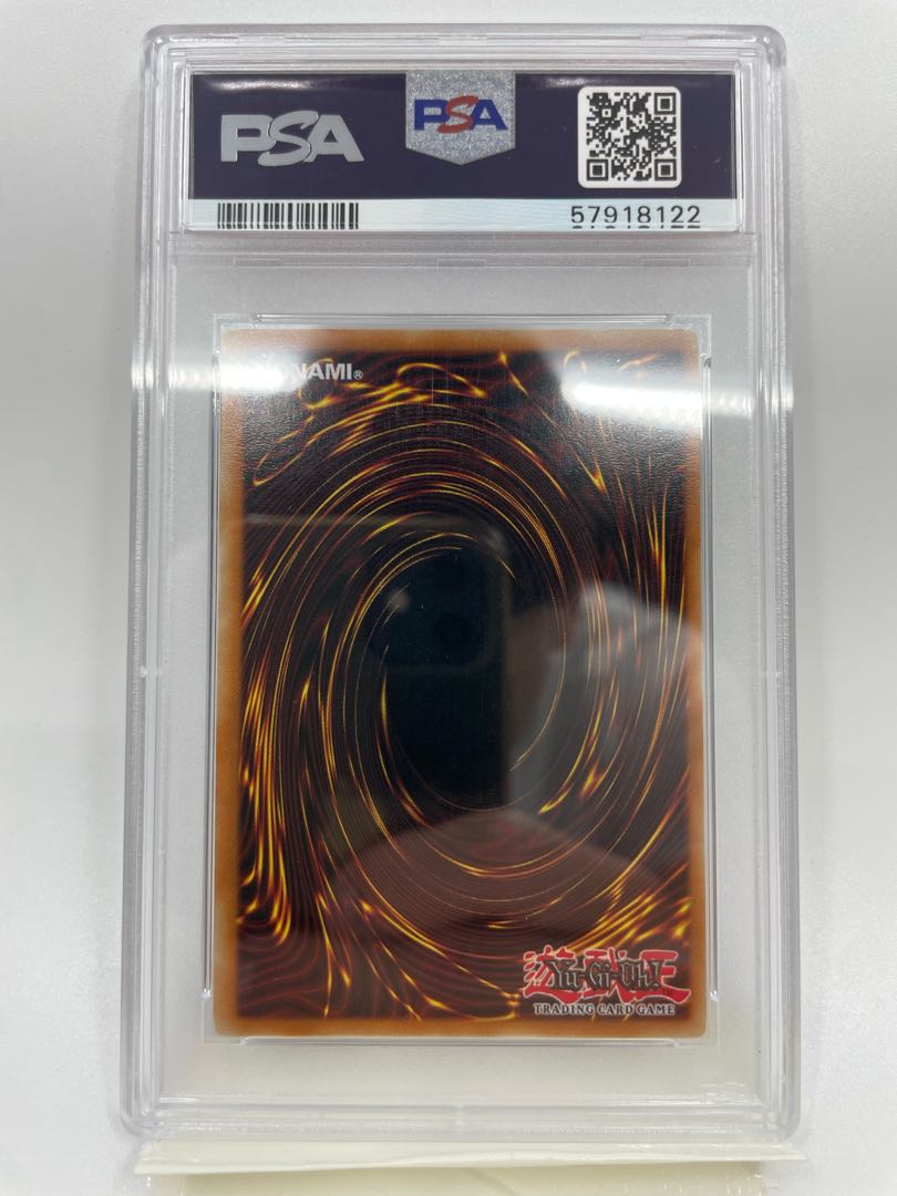 遊戯王 ブラック・ローズ・ドラゴン ブラックローズドラゴン 遊戯王 ブラック・ローズ・ドラゴン ブラックローズドラゴン