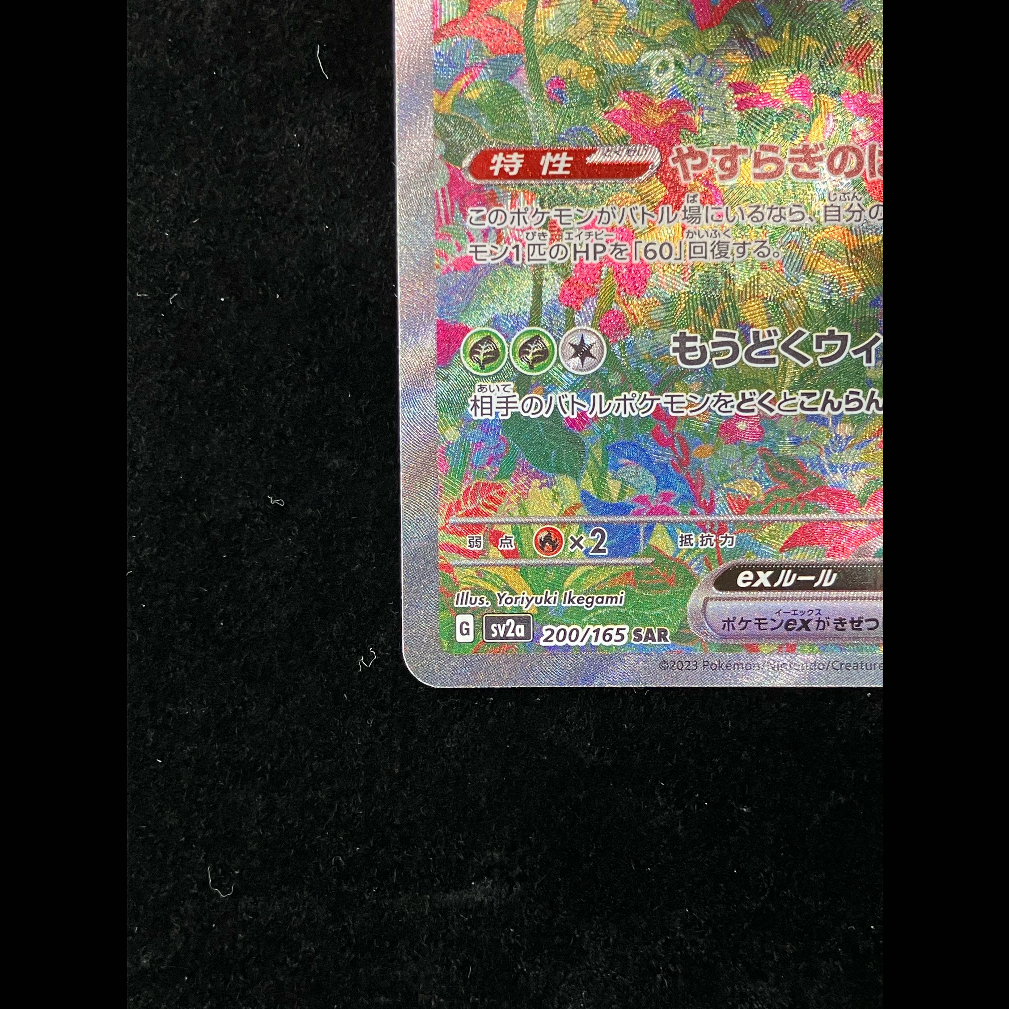 Venusaurex SAR 200/165 1枚