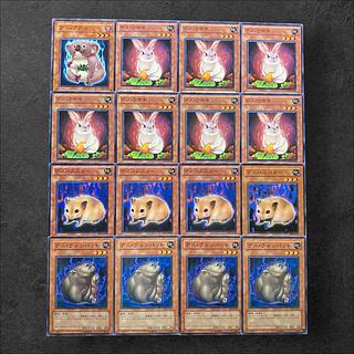 6728【遊戯王】デス•コアラ（1枚）デス•ウサギ（7枚）デスハムスター（4枚）デス•ウォンバット（4枚）計16枚セット