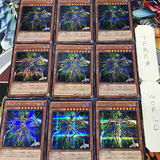1 Secret Effect Set of 9 Tera. 9枚