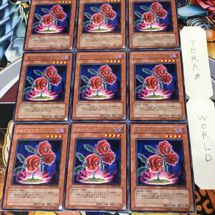 返り咲く薔薇の大輪 5 レア 9枚セット てら