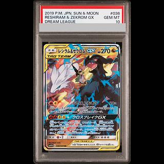 【PSA10】レシラム＆ゼクロムGX RR 036/049 1枚