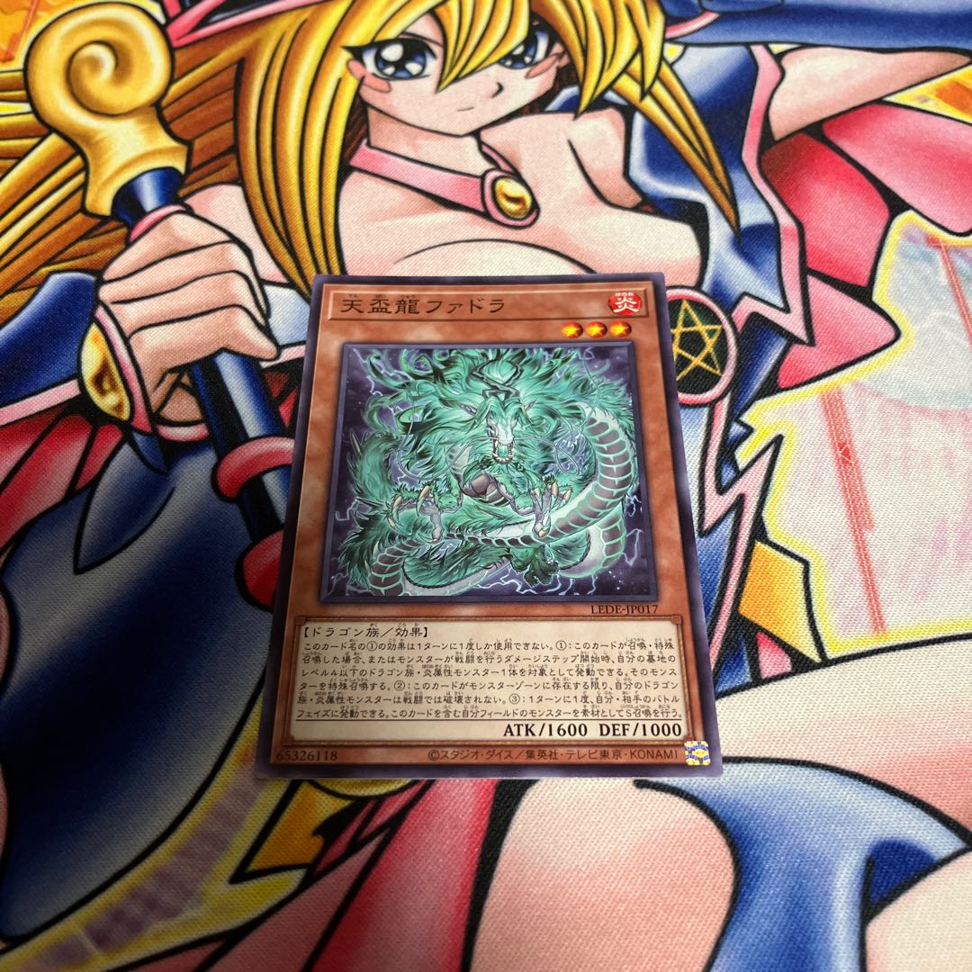 天盃龍ファドラ ノーマル LEDE-JP017