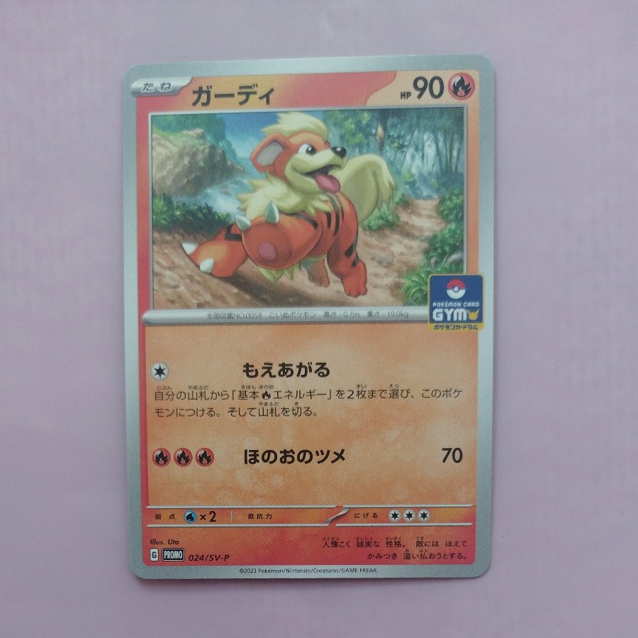 @4 @4 Growlithe Promo Card Pack, Series 1 PROMO 024/SV-P 1枚