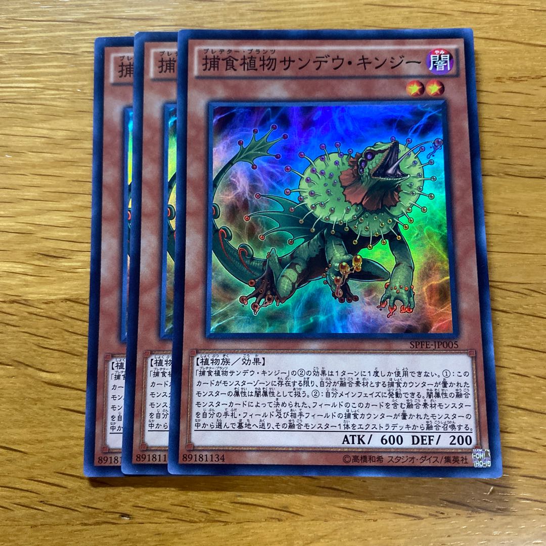 Predaplant Chlamydosundew Super Rare JP005