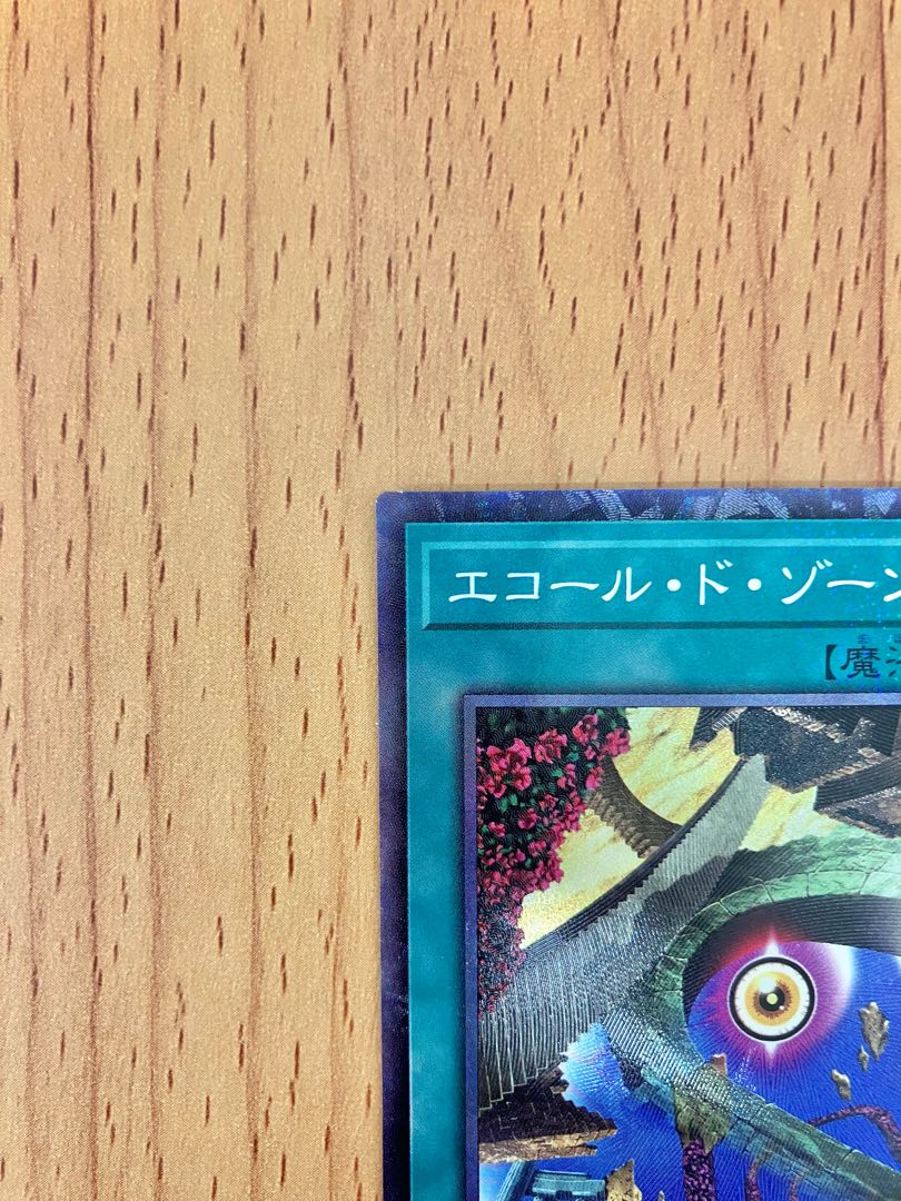 遊戯王カード　エコール・ド・ゾーン（CR）