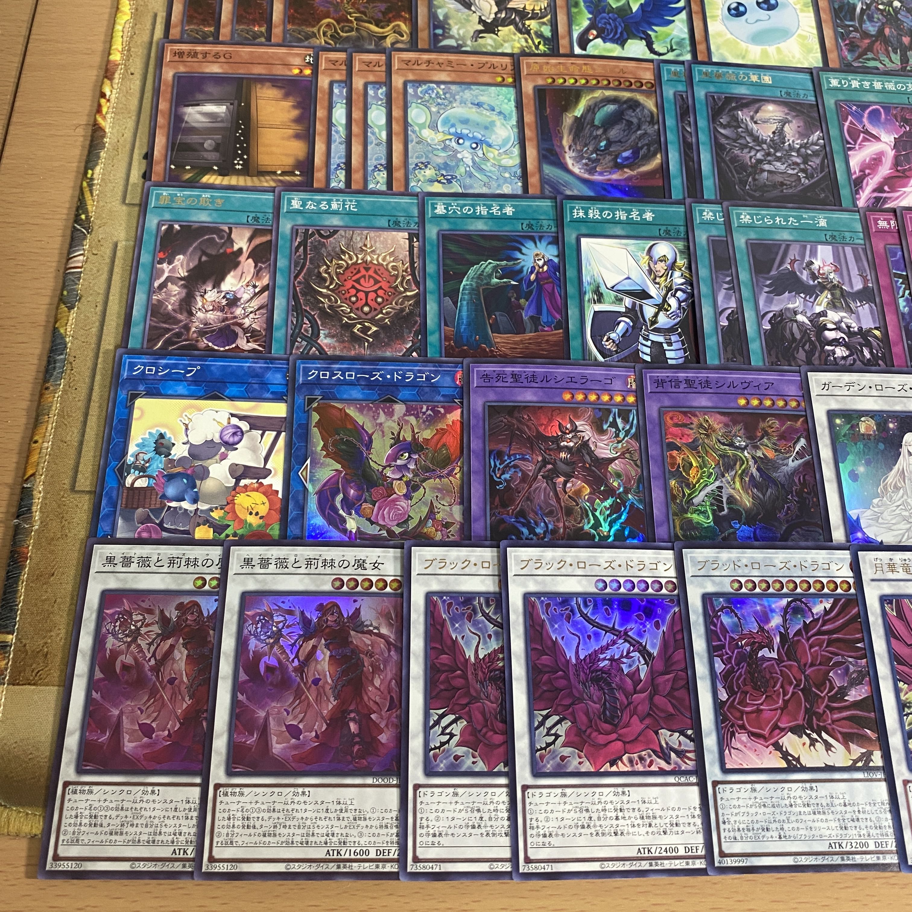 ブラックローズドラゴン デッキ 遊戯王 本格構築 大会構築済みデッキ 1枚