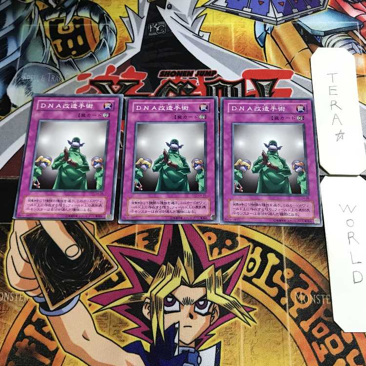 DNA改造手術 2期ver 4 ノーマル 3枚セット てら