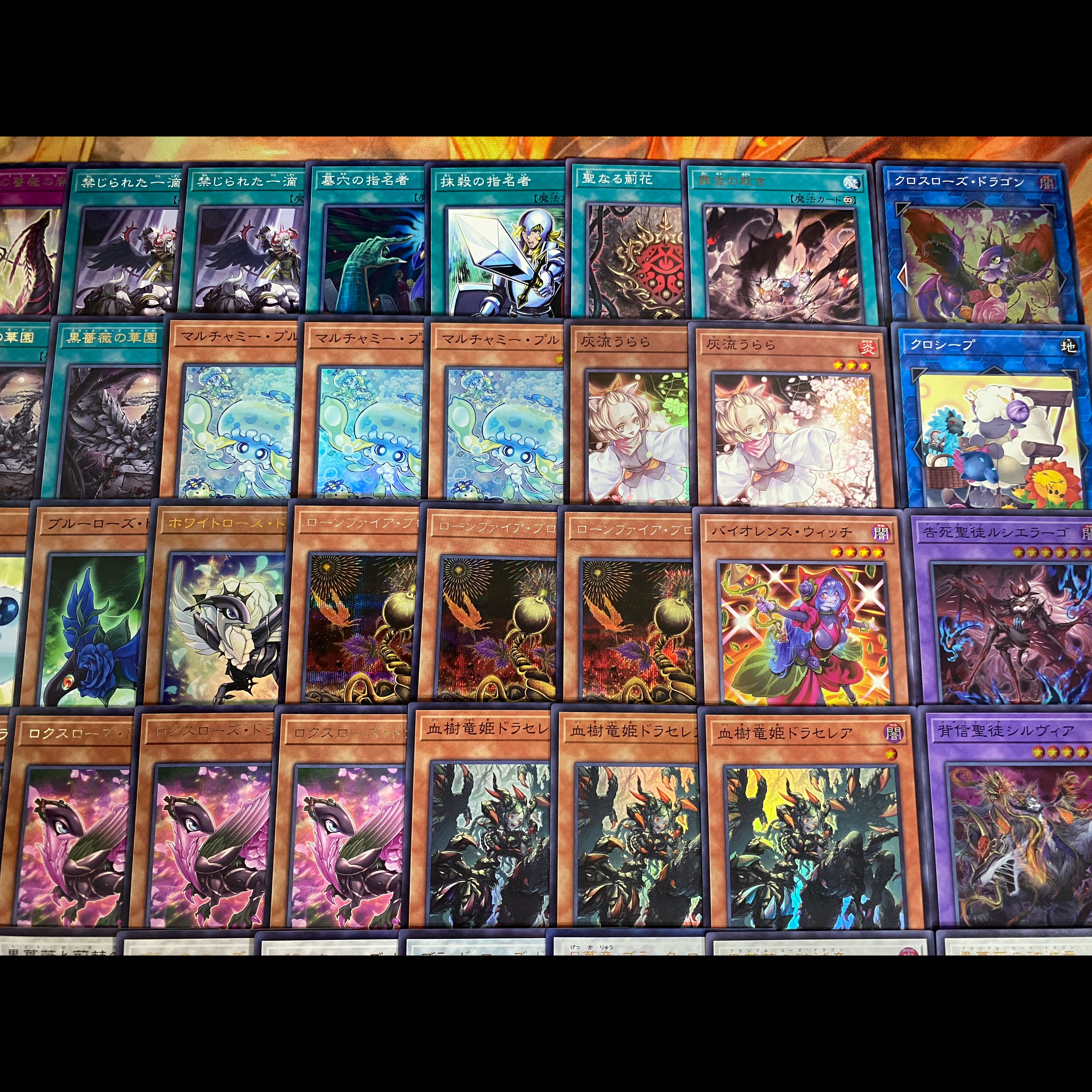 遊戯王　本格構築デッキ　ブラックローズドラゴン　大会構築【24時間以内発送】 1枚