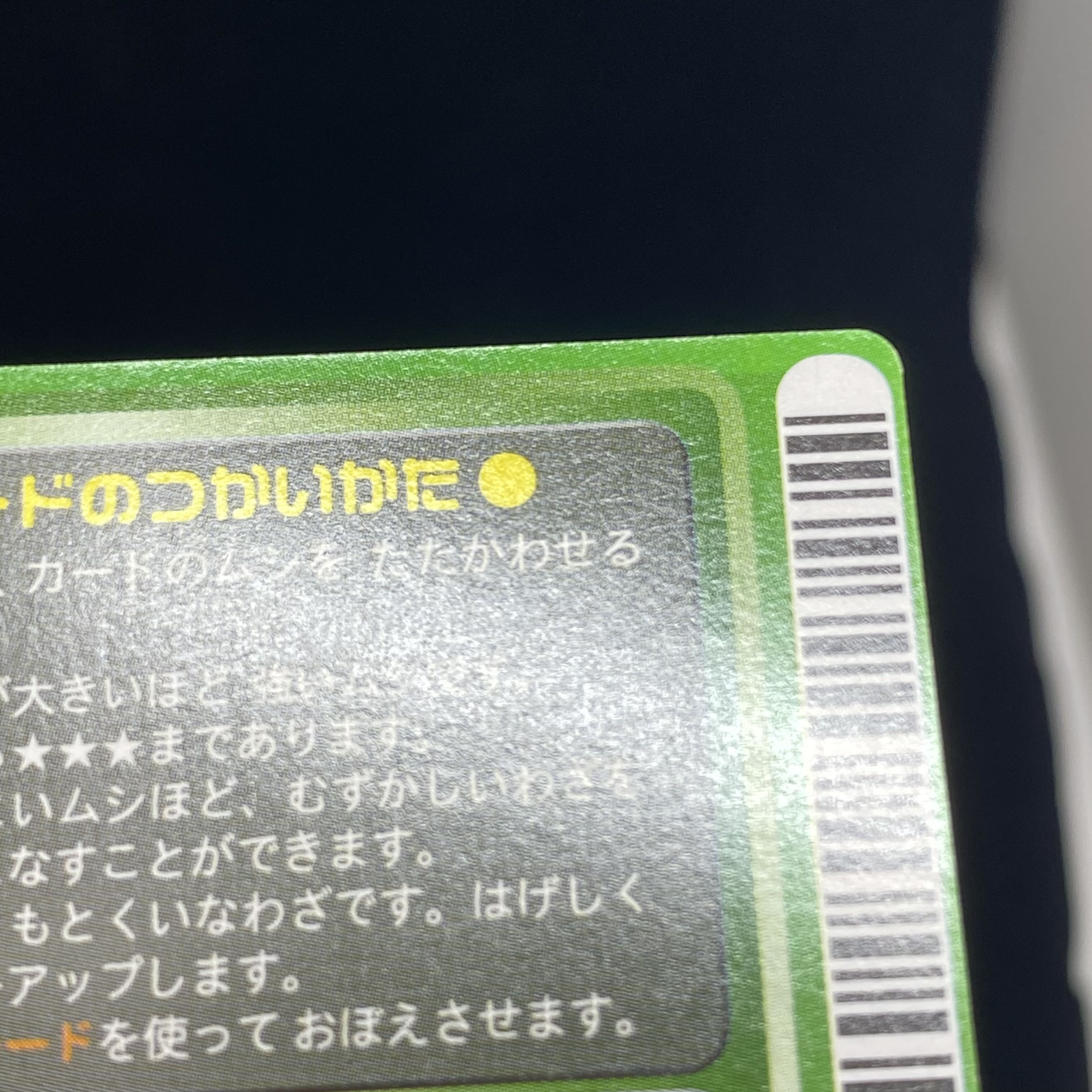 エレファスホソアカクワガタ［ロケテスト］ 1枚