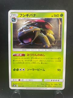 Rakurakudo] Pokeka Venusaur