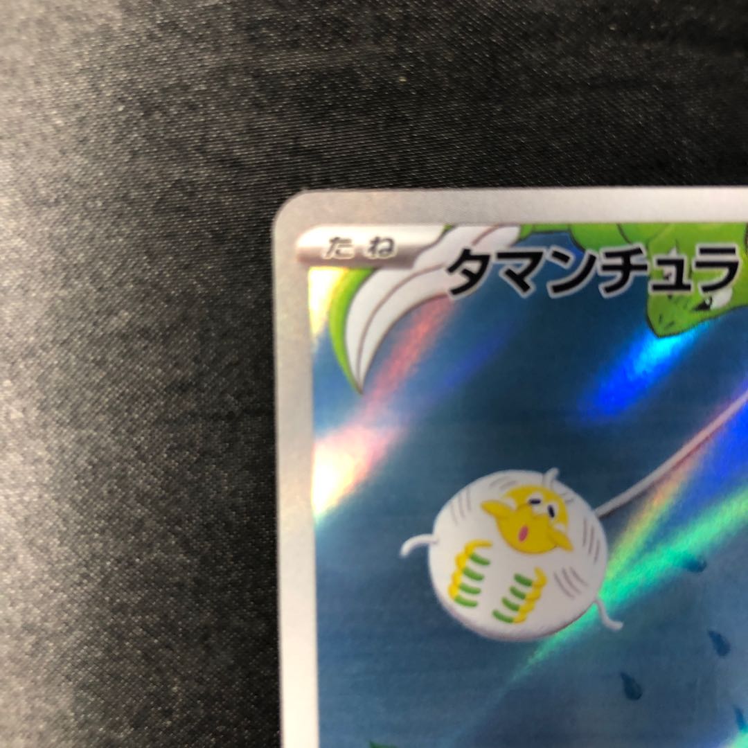 Tamantura AR 079/078 1枚