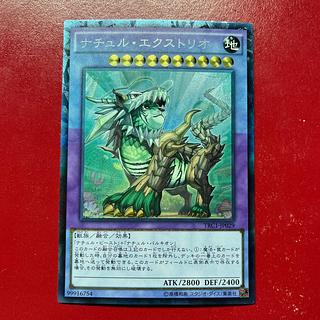 ナチュル・エクストリオ