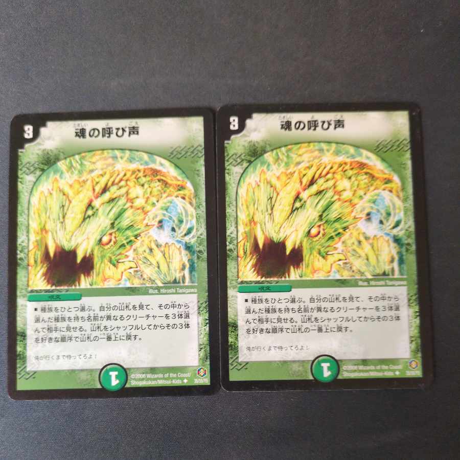 魂の呼び声 U 35/55/Y5 2枚セット