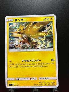 Rakurakudo] Pokeka Zapdos