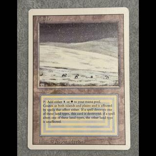 ＜EN＞ 《Tundra》 [3ED] 1枚