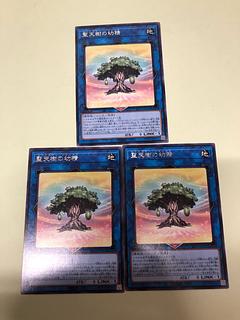 Fairy of the Holy Celestial Tree Rare JP031 3枚