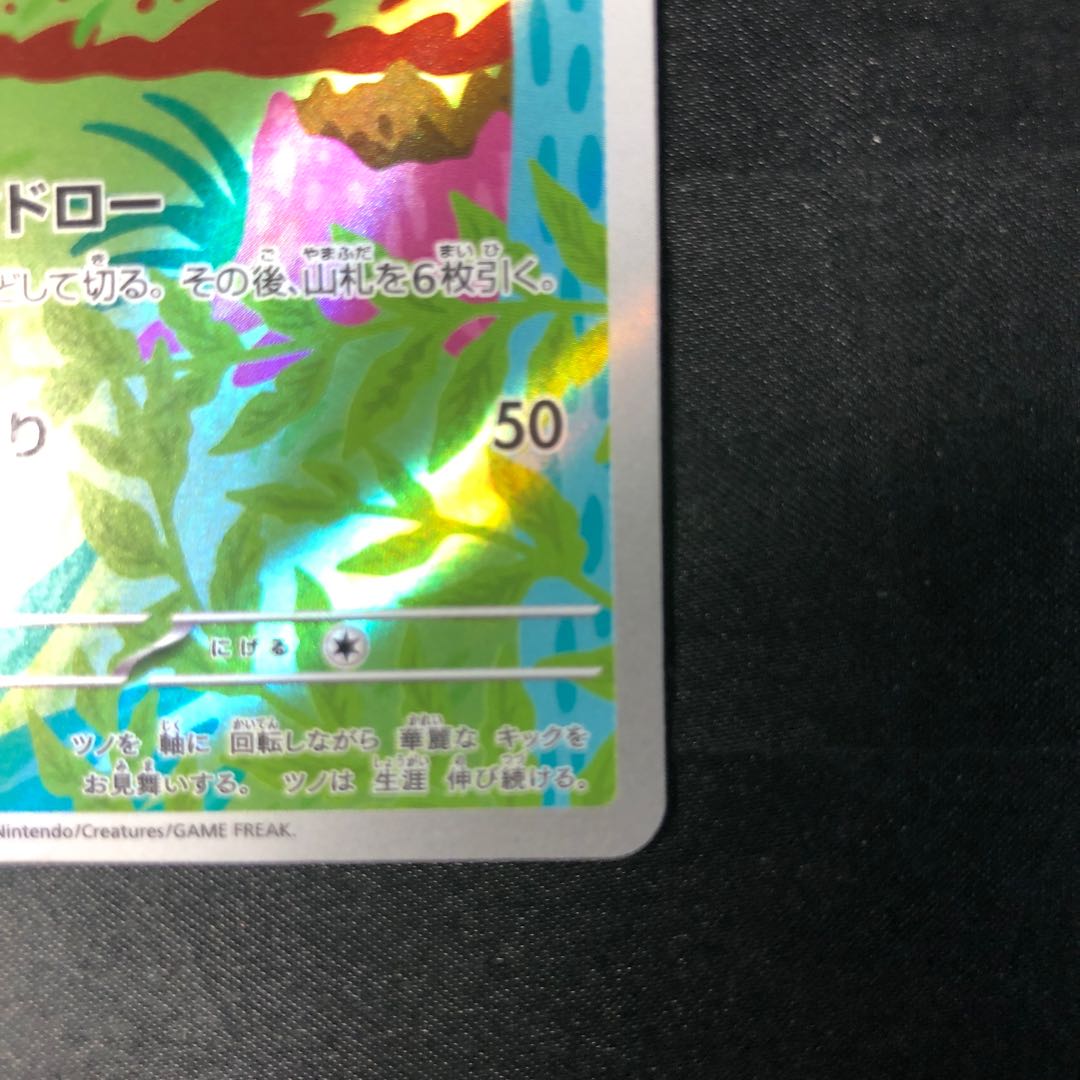 カポエラー(AR仕様) S-TD 751/742 1枚