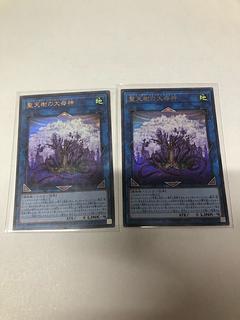 Sunavalon Dryatrentiay Ultra Rare JP034