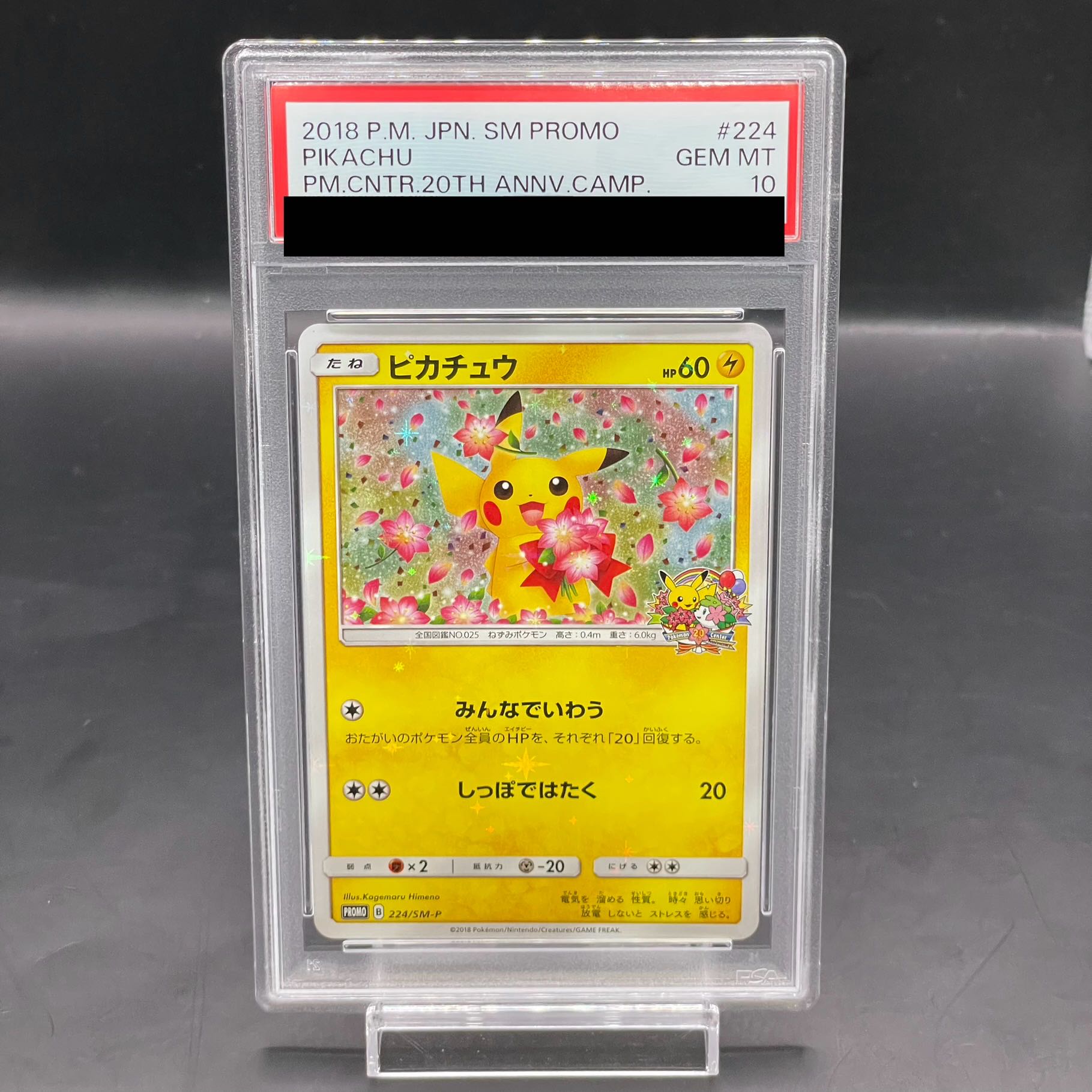 【PSA10】ピカチュウ PROMO 224/SM-P