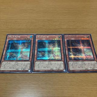Shining Star Dragon - Secret Rare - QCDB-JP003 3枚