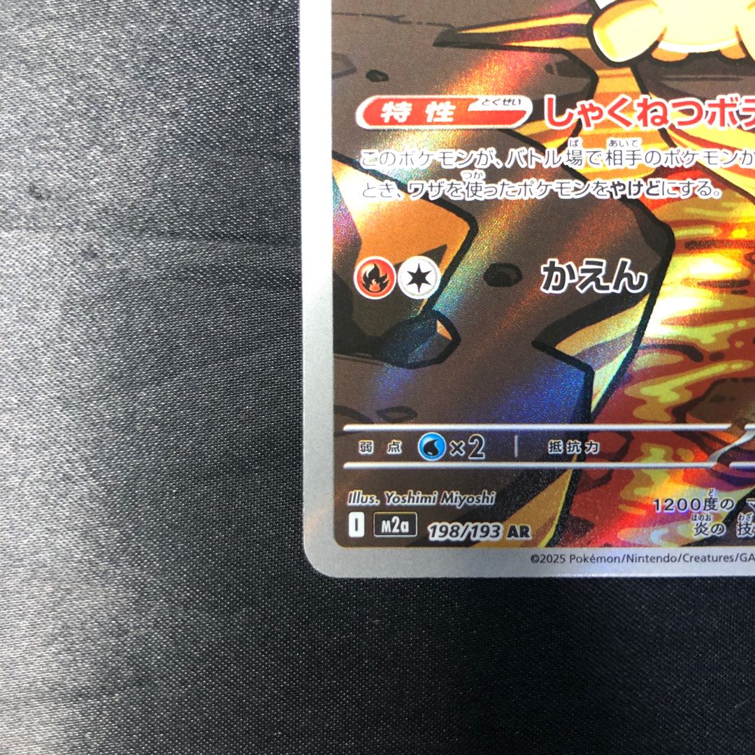 ドンメル AR 198/193 1枚