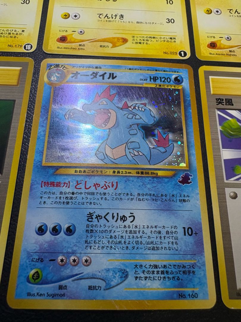 neo intro pack set (Totodile mark & Chikorita mark) Pokemon old back 11枚