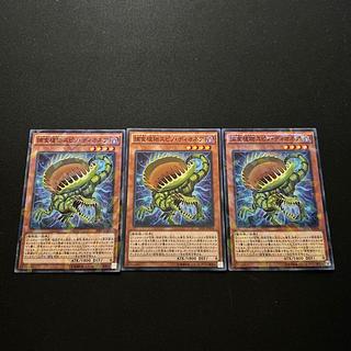 3029 Predaplant Spinodionaea#1537