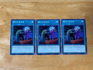 墓穴の指名者　ノーマル　TT01-JPB21  3枚