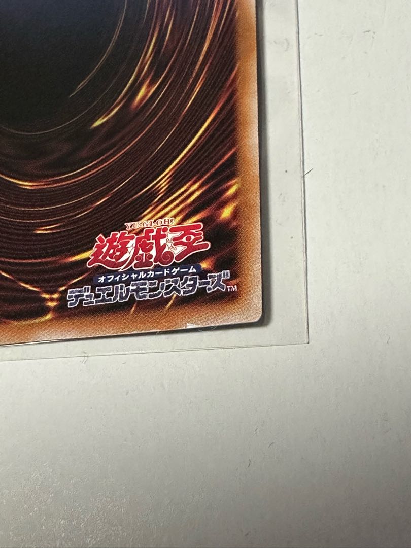 Senkohime Camellia YOS1-JP002