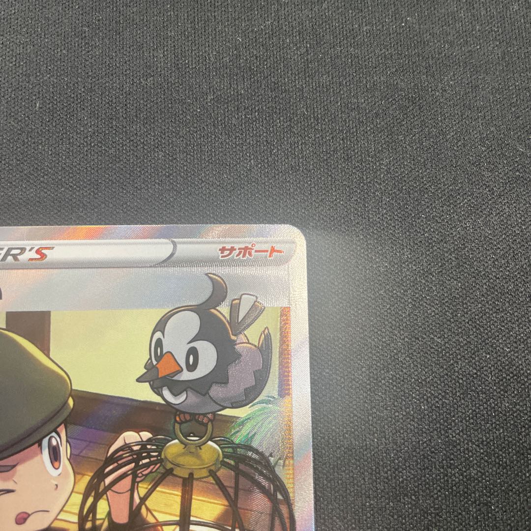 Toritsukai SR 193/190 1枚