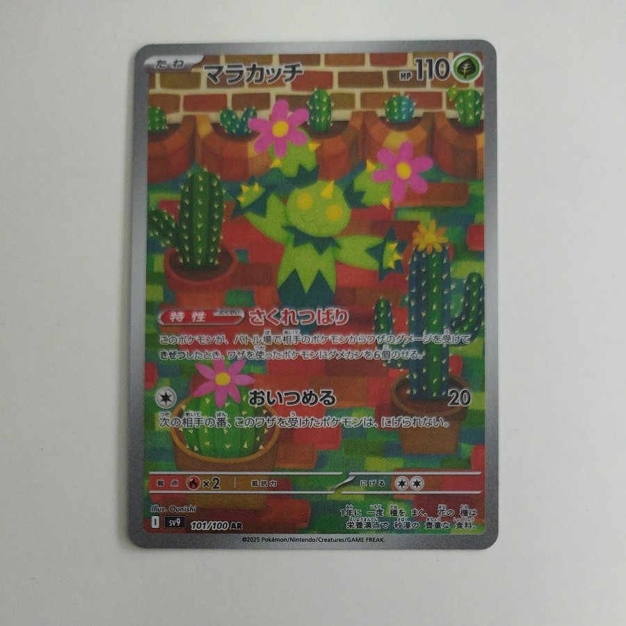 @ @ Maractus AR 101/100 1枚