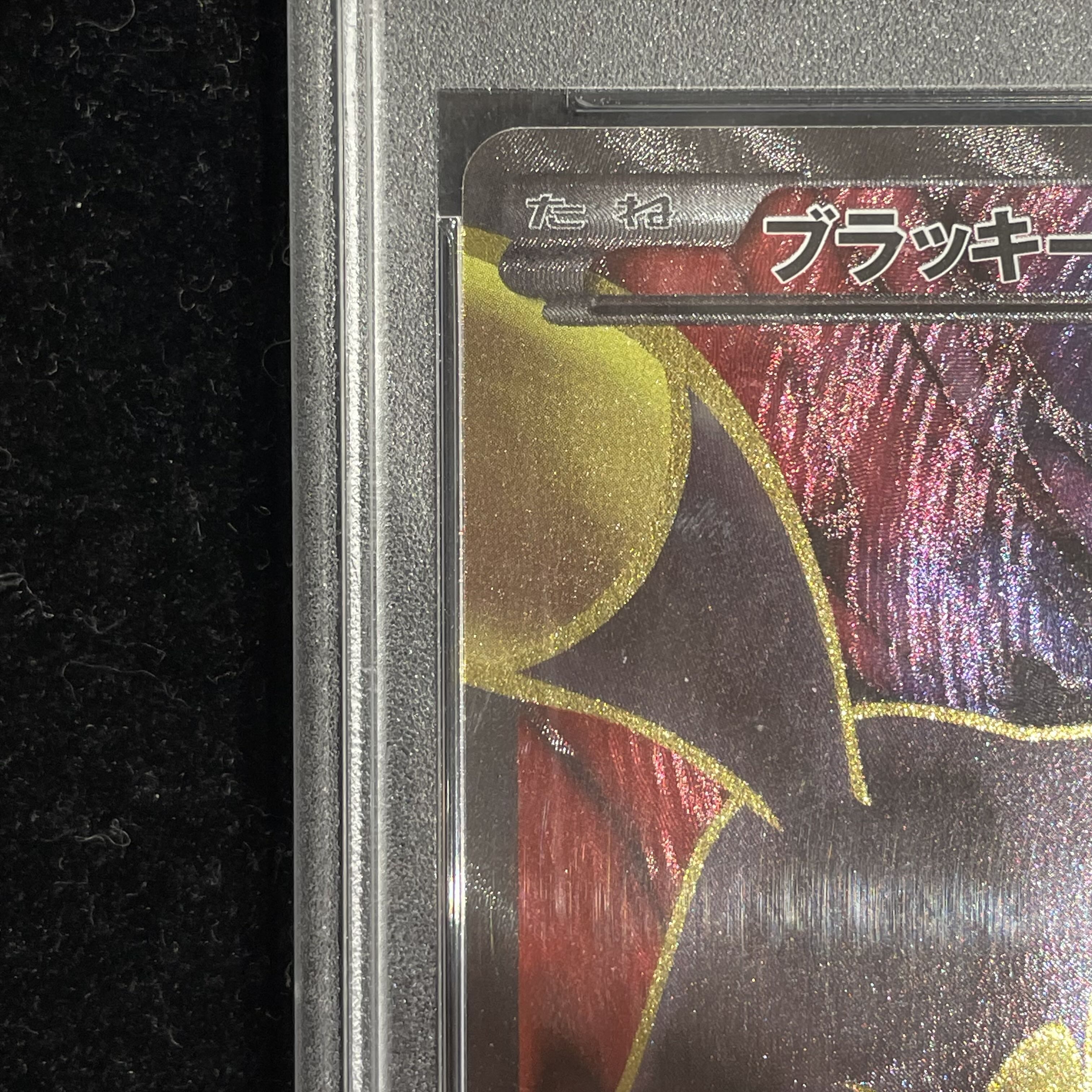 【PSA10】ブラッキーEX SR 082/078 1枚