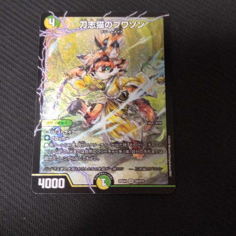 刀志猫のプワソン SR S8/S15 1枚