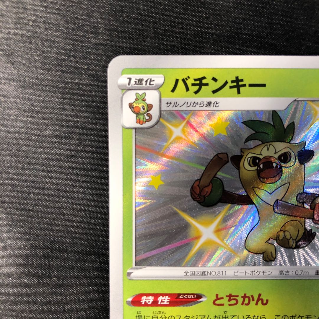 バチンキー S 204/190 1枚